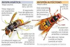 images.webp