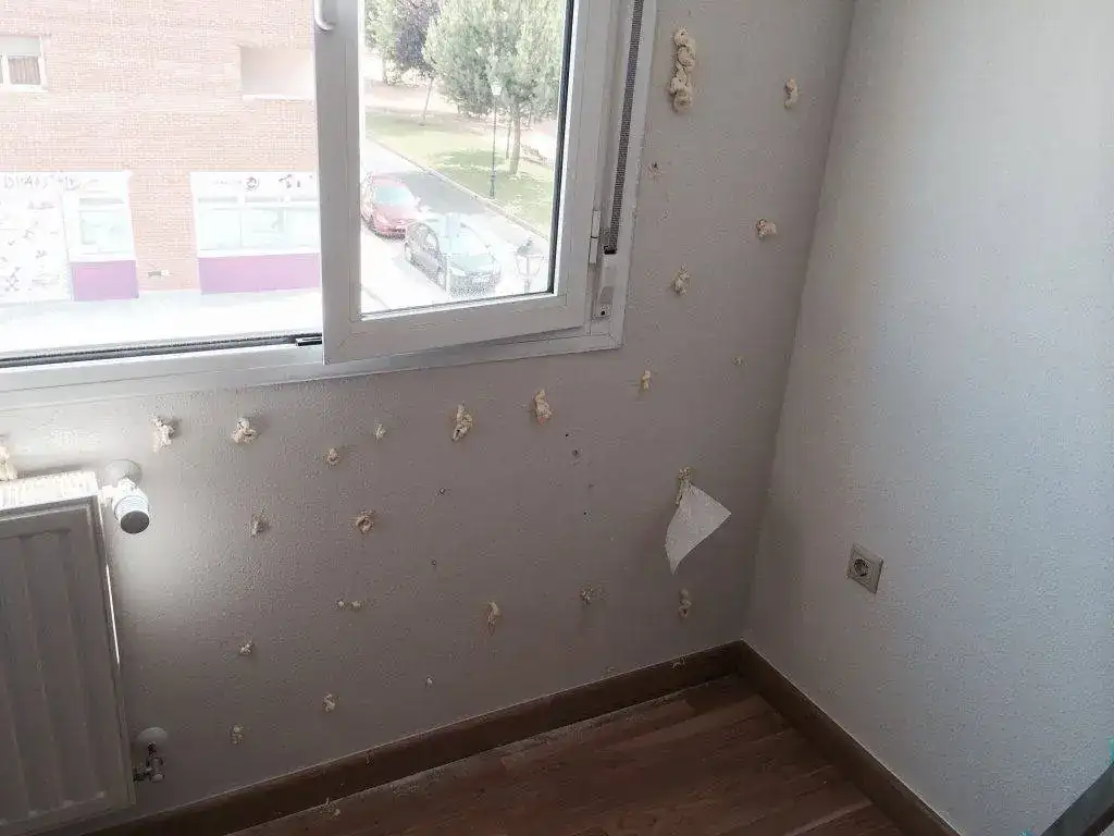 ImageUploadedByTapatalk1404018417.335492.webp