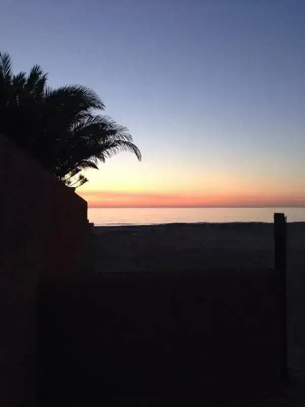 ImageUploadedByTapatalk1405922876.043114.webp