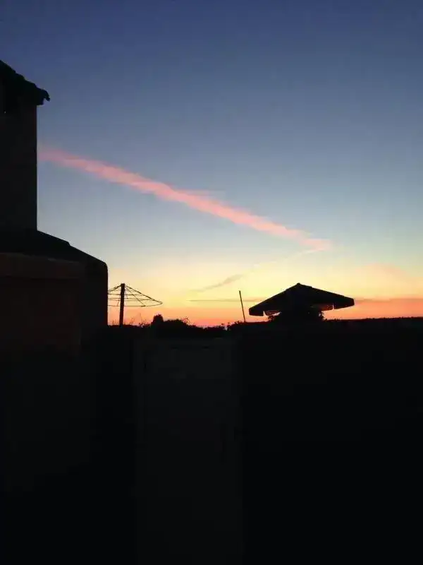 ImageUploadedByTapatalk1405922892.773698.webp