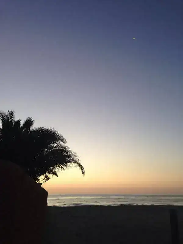 ImageUploadedByTapatalk1406004416.836067.webp