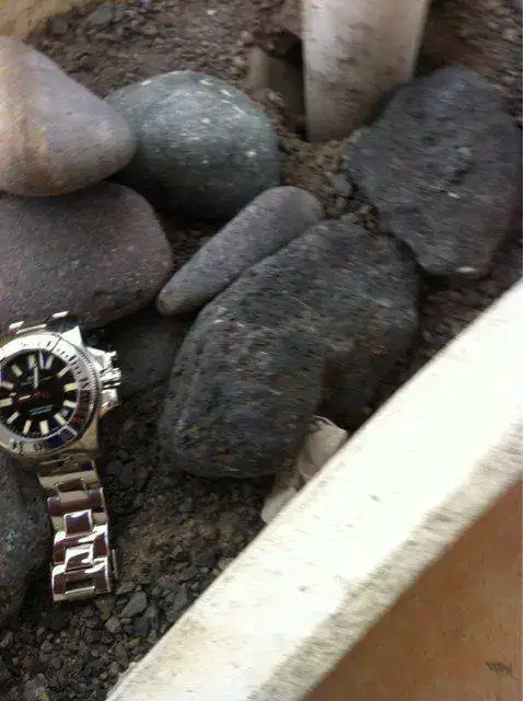ImageUploadedByTapatalk1429776300.923879.webp