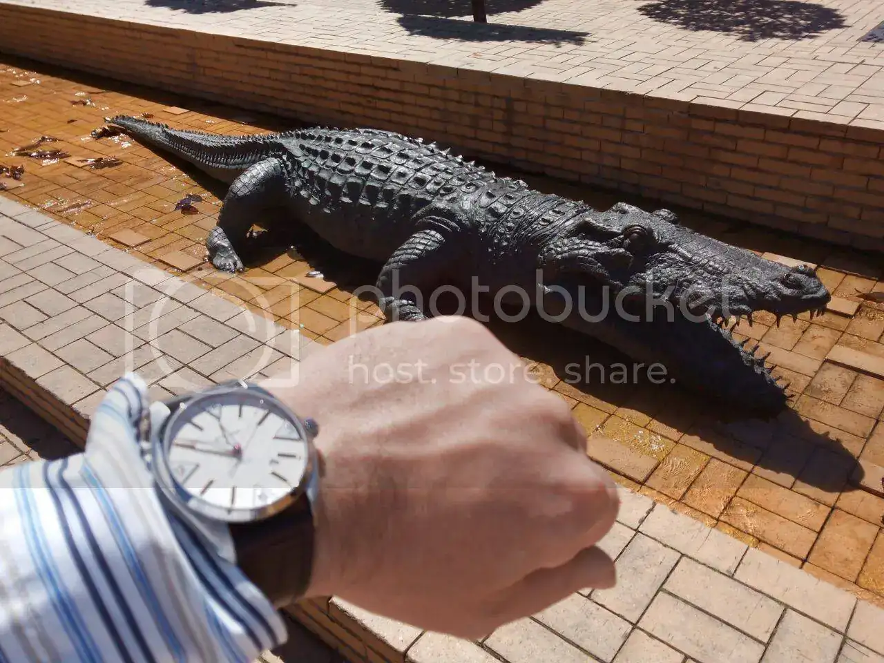 IMG-20150621-WA0010.webp