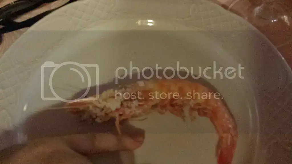 IMG-20150929-WA0040_zpskmews1nh.webp