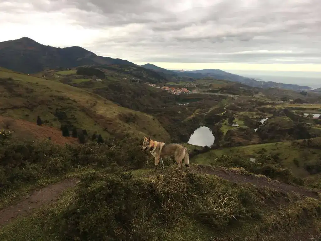 IMG-20180125-WA0000.webp