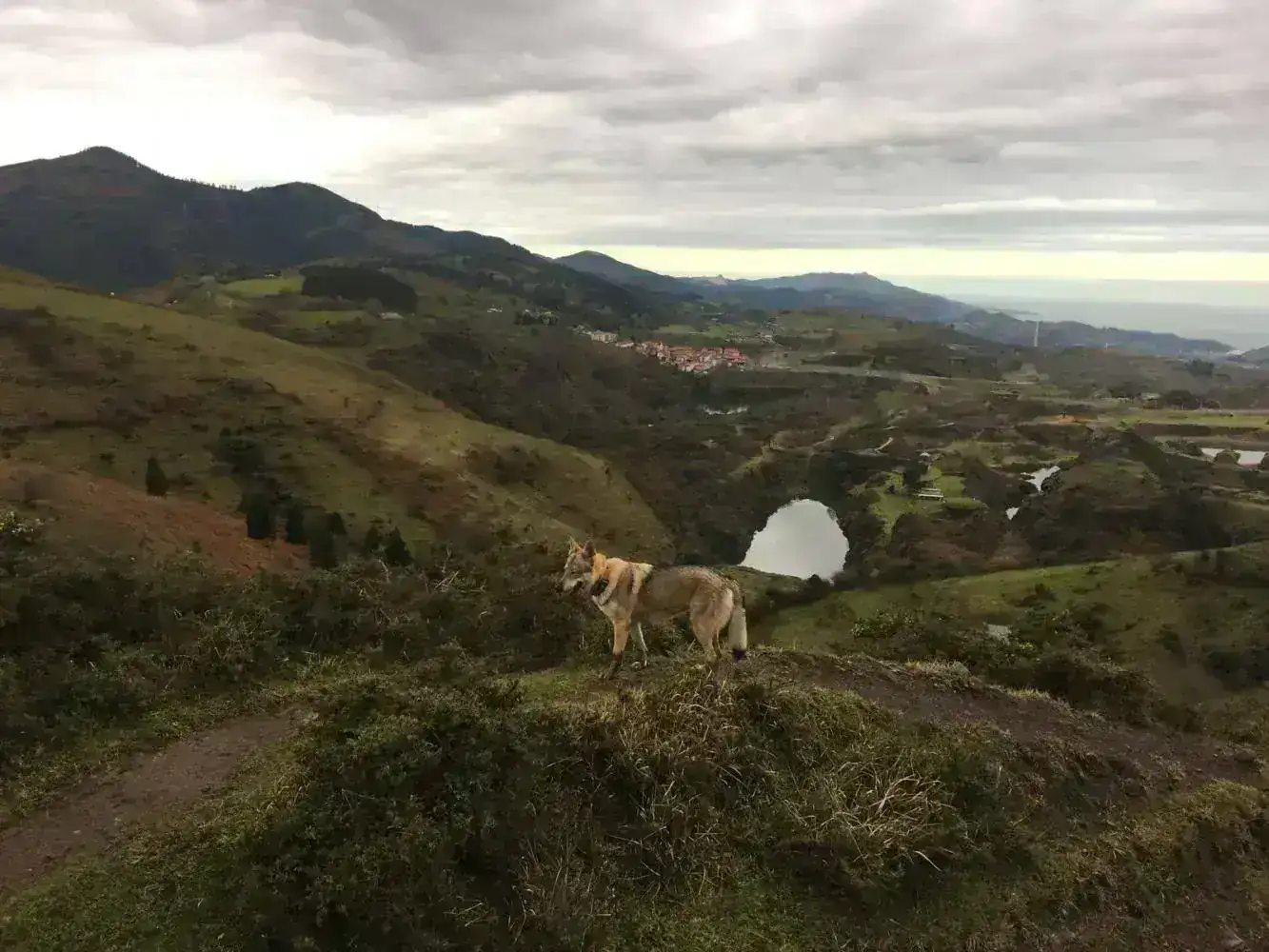 IMG-20180125-WA0000.webp