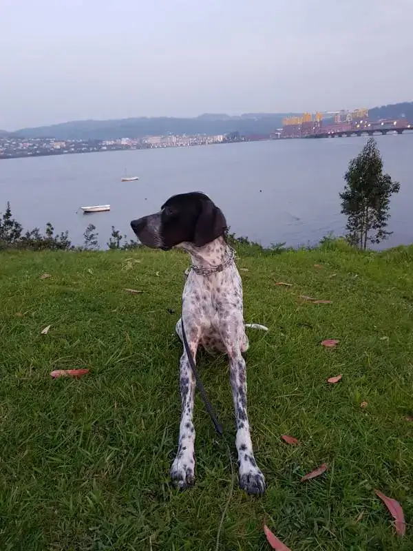 IMG-20180420-WA0015.webp