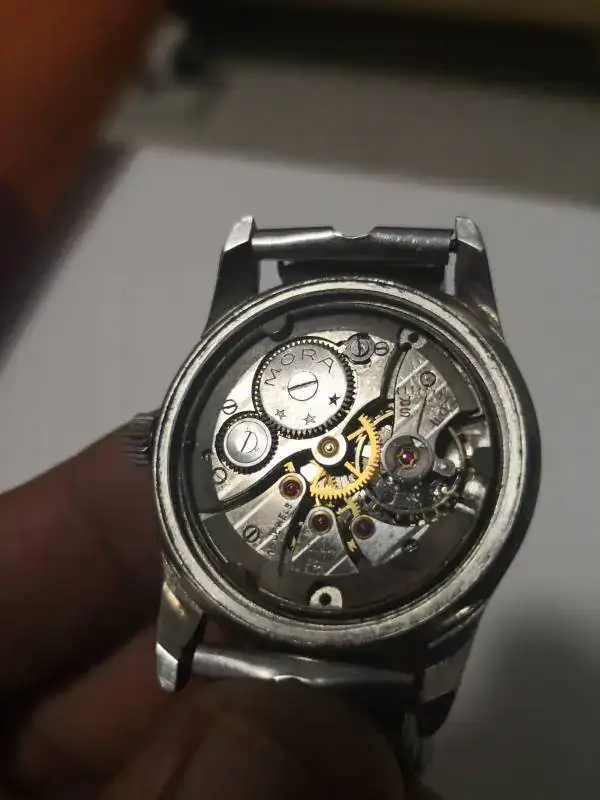IMG-20190303-WA0025.webp