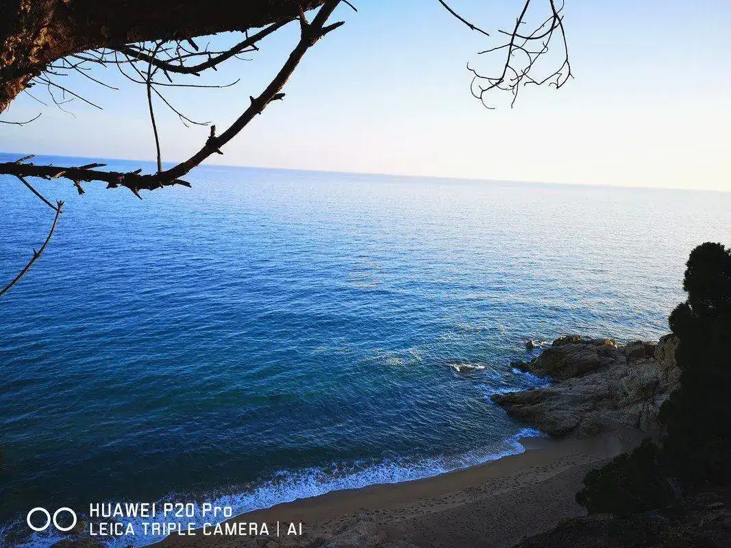 IMG-20190308-193939.webp