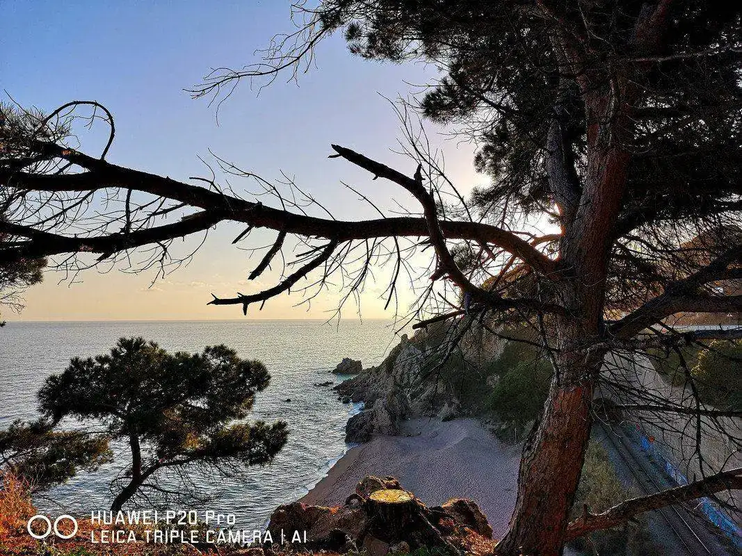 IMG-20190308-204218.webp