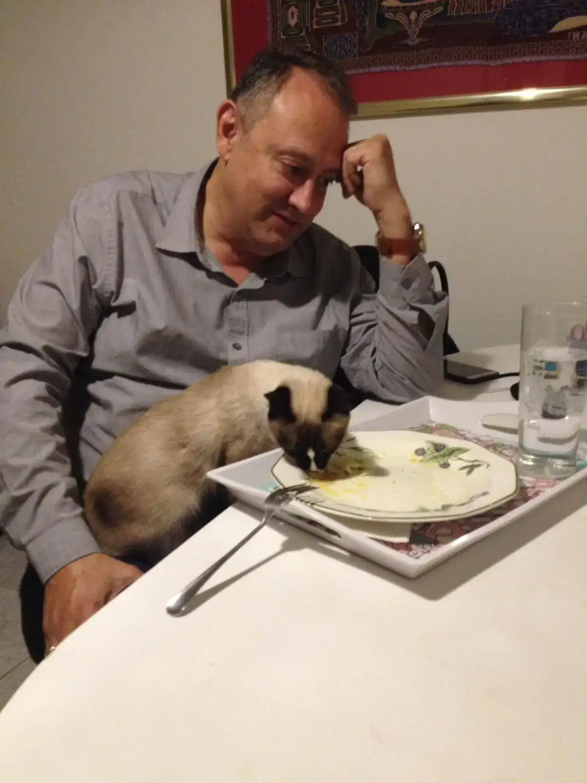 IMG-20190324-WA0095.webp