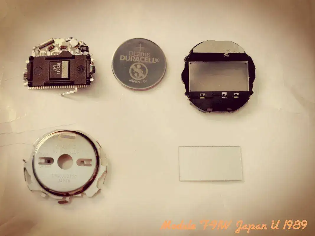 IMG-20190713-155311.webp