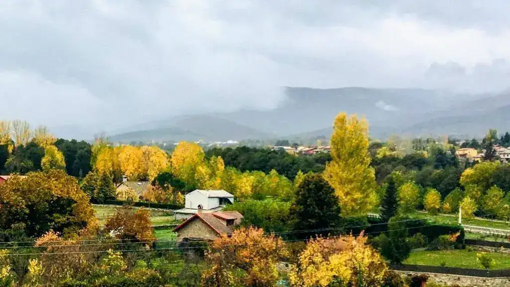 IMG-20191101-WA0001-1.webp