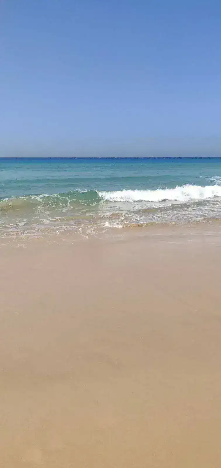 IMG-20210401-WA0018.webp