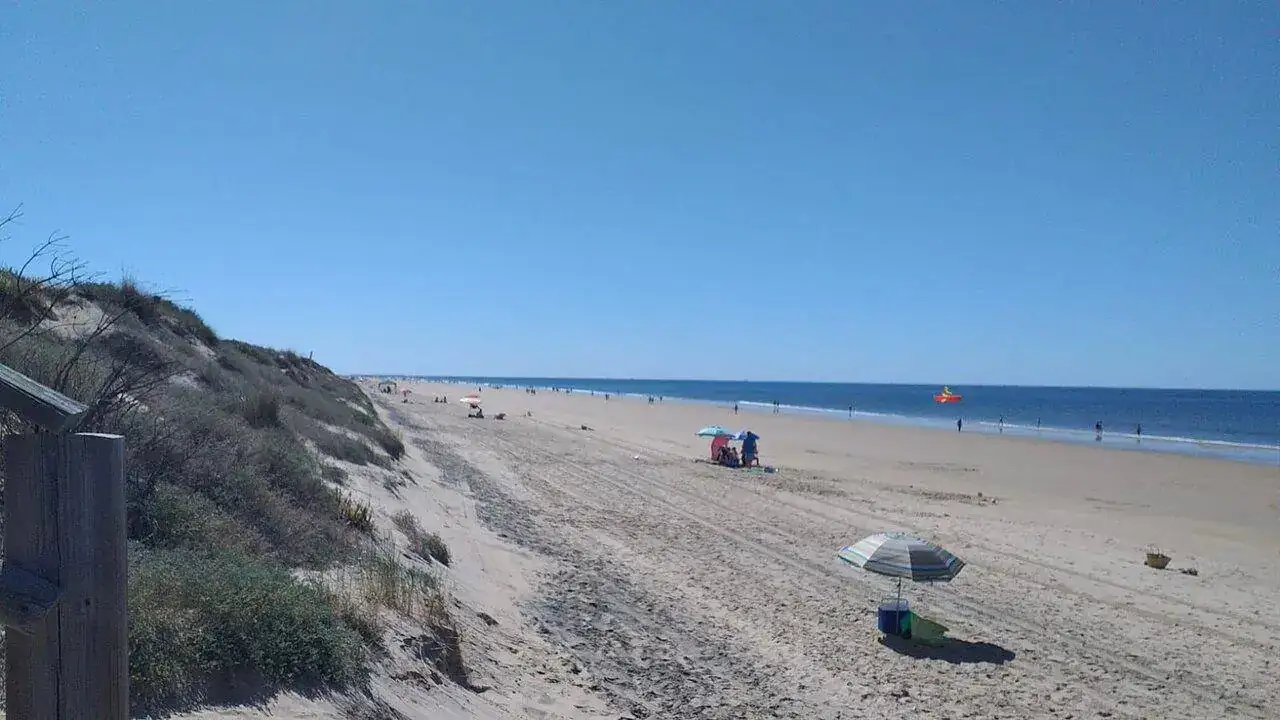 IMG-20210515-WA0003.webp