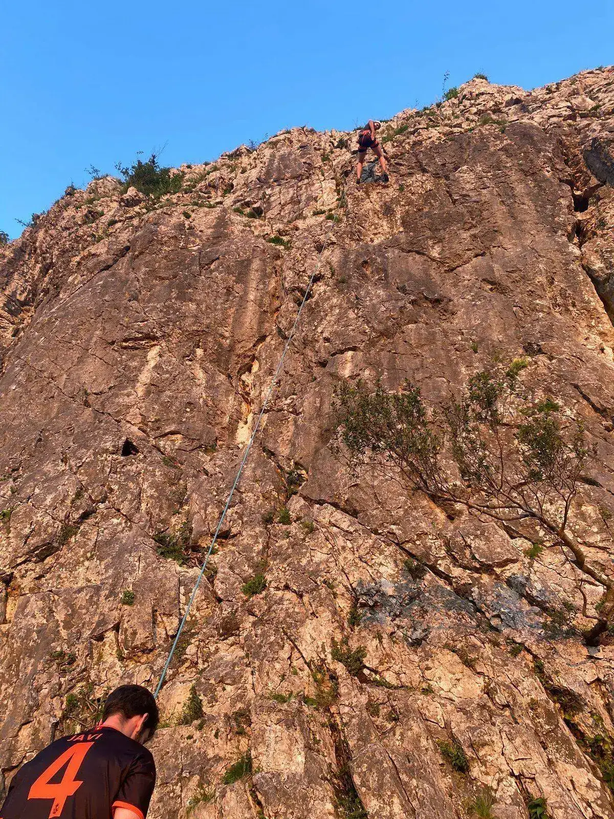 IMG-20210610-WA0012.webp