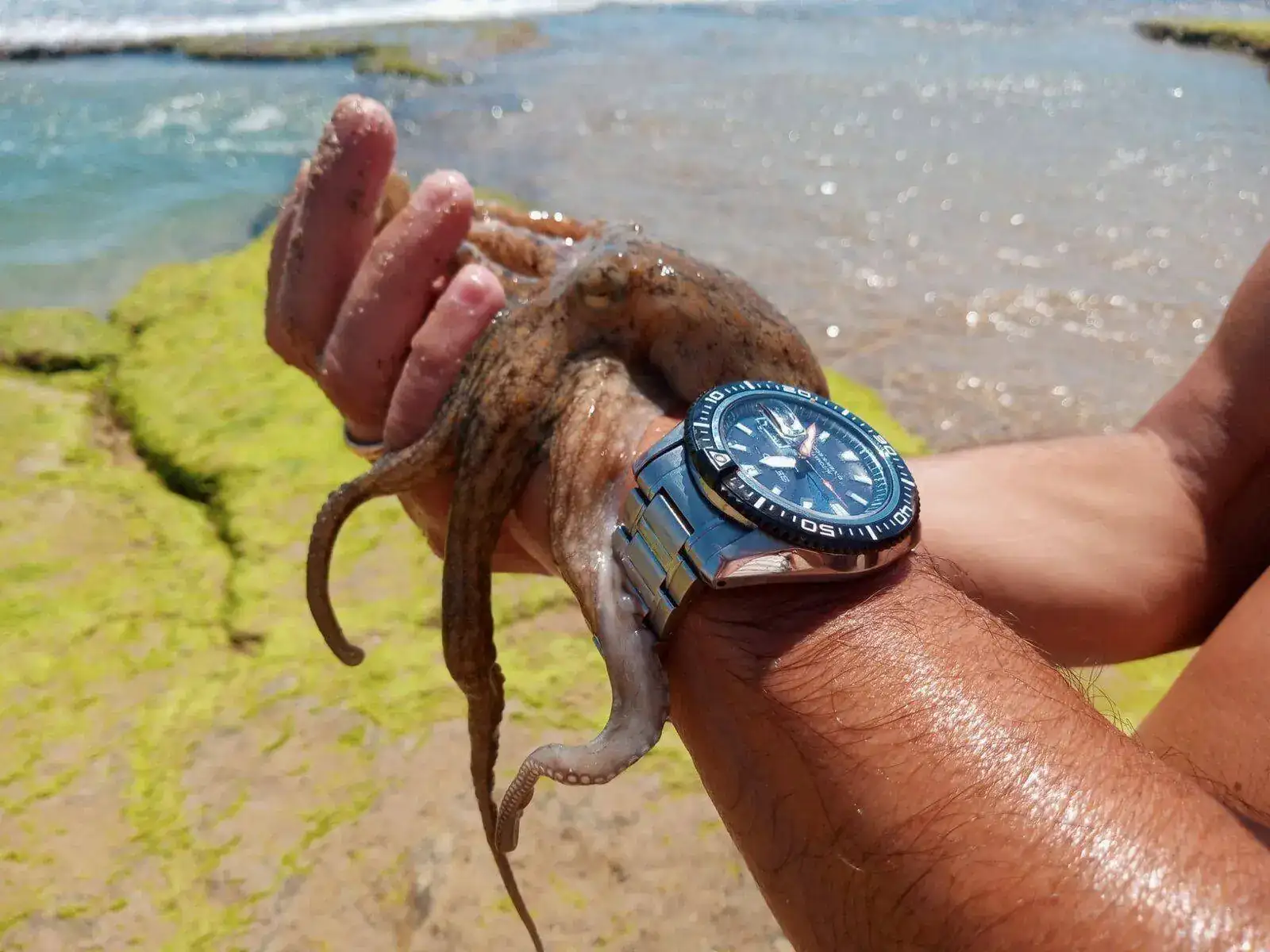 IMG-20210627-WA0005.webp