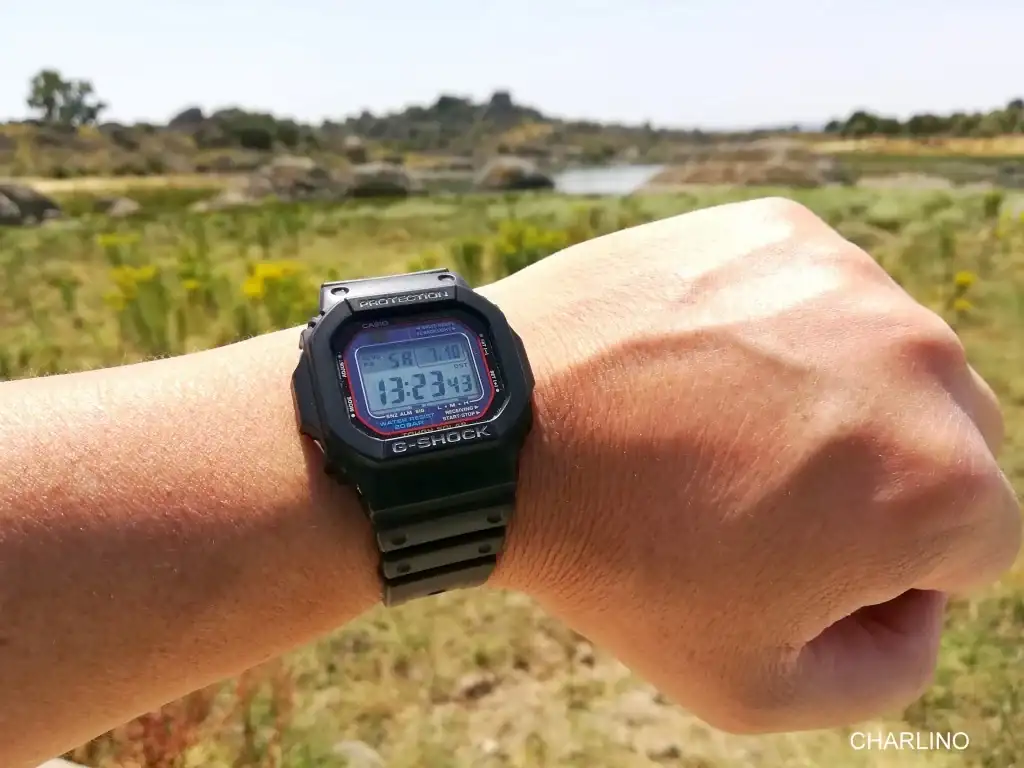 IMG-20210710-132342.webp