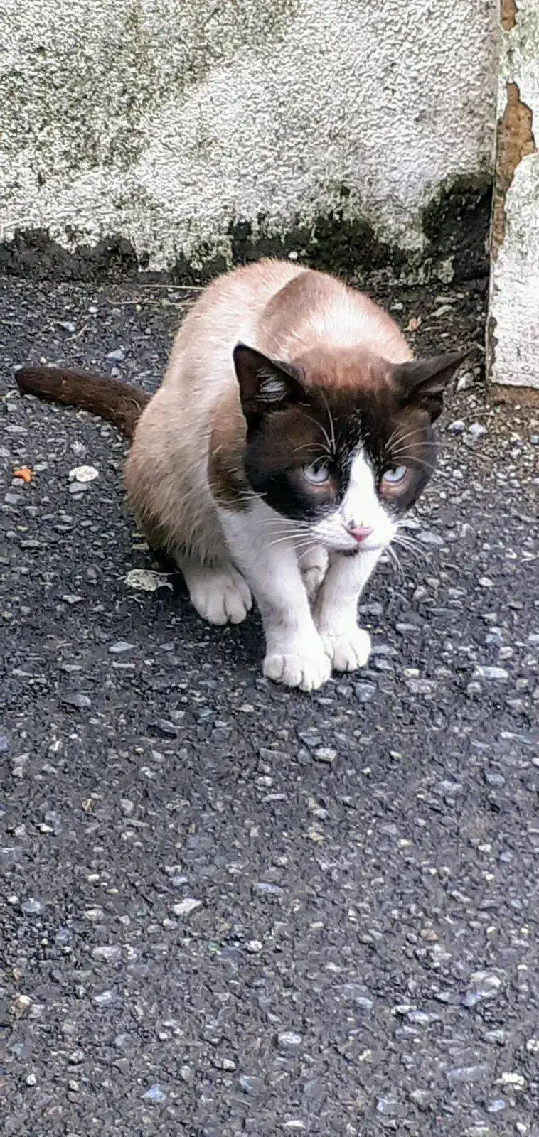 IMG-20210727-WA0005.webp