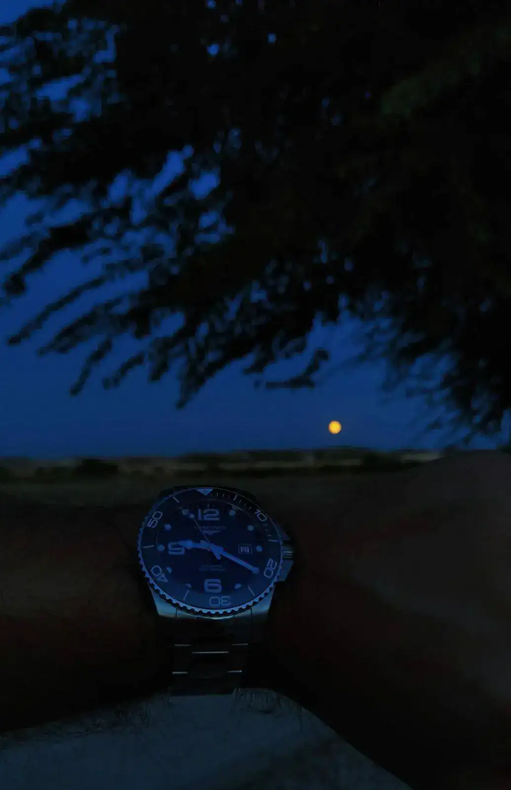 IMG-20210821-WA0004.webp