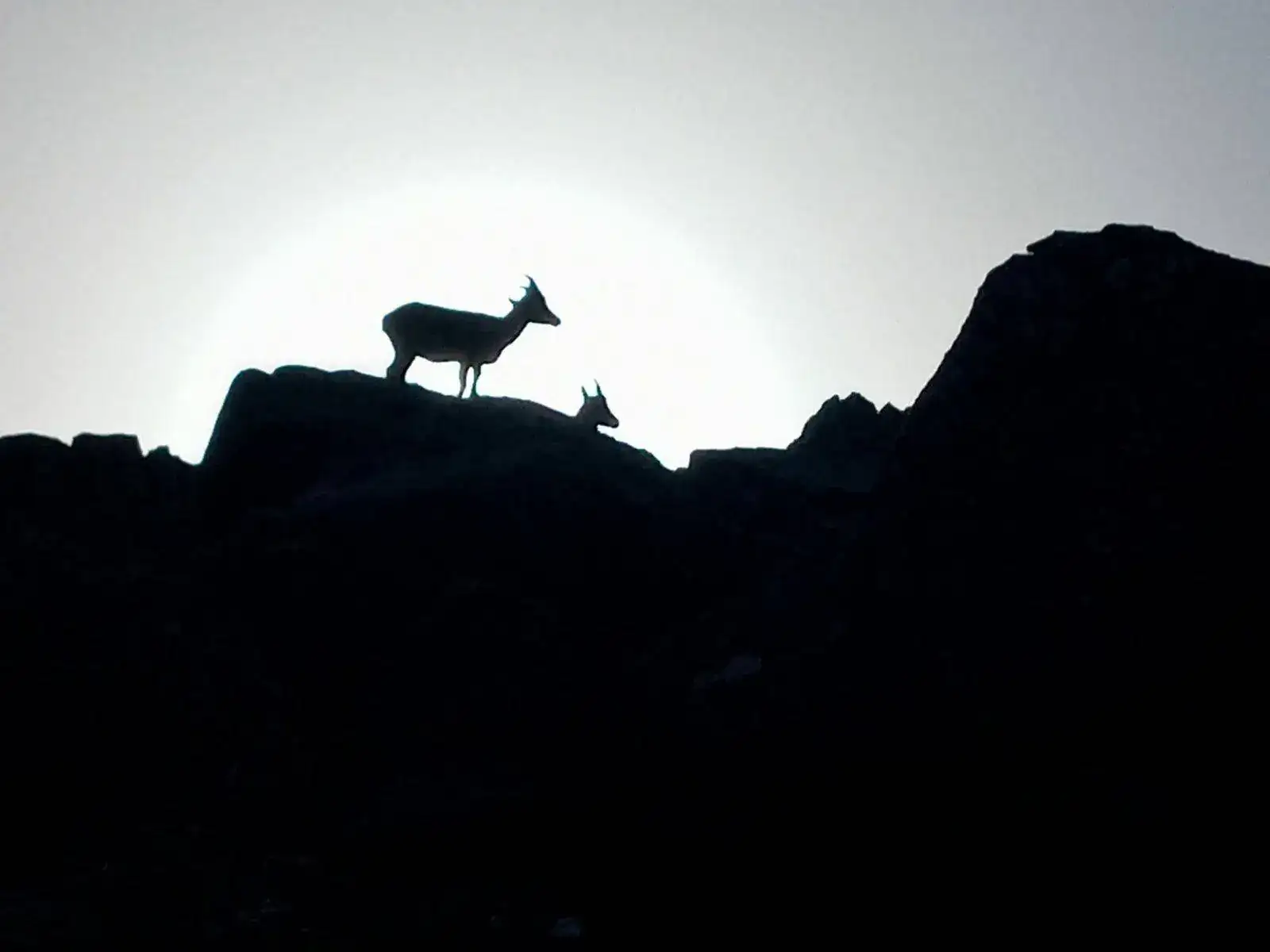 IMG-20210824-WA0008.webp