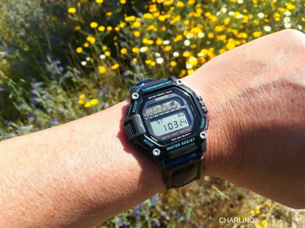 IMG-20220507-170601.webp