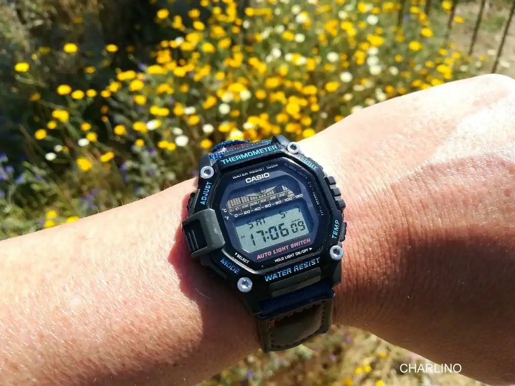 IMG-20220507-170607.webp