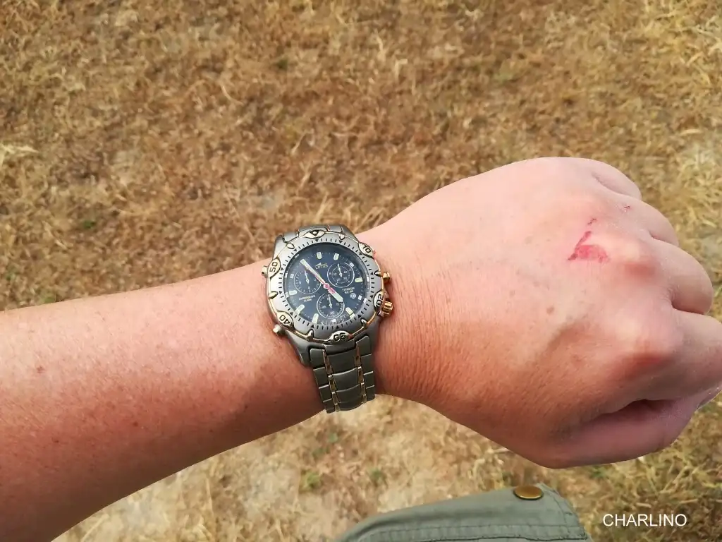 IMG-20220530-165546.webp
