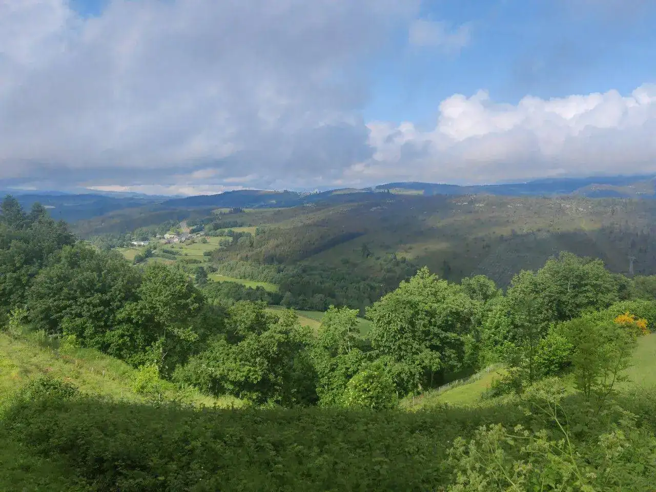IMG-20220608-WA0082.jpeg