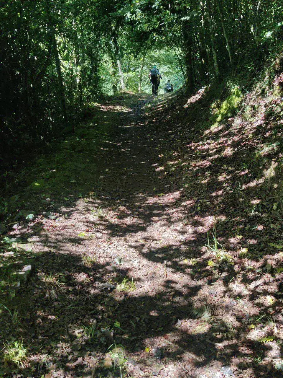 IMG-20220609-WA0042.jpeg