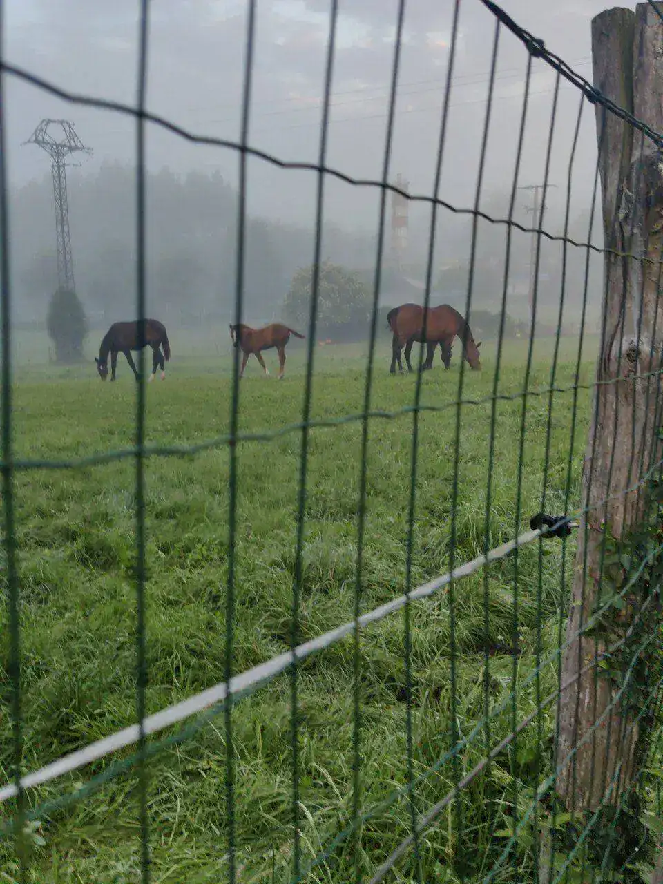 IMG-20220610-WA0006.jpeg
