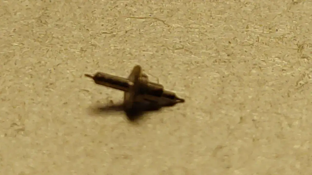 IMG-20221228-WA0015.webp