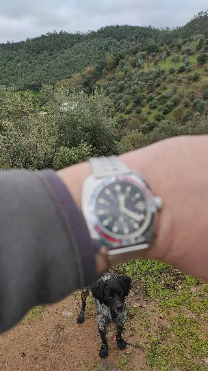 IMG-20230102-WA0051.webp