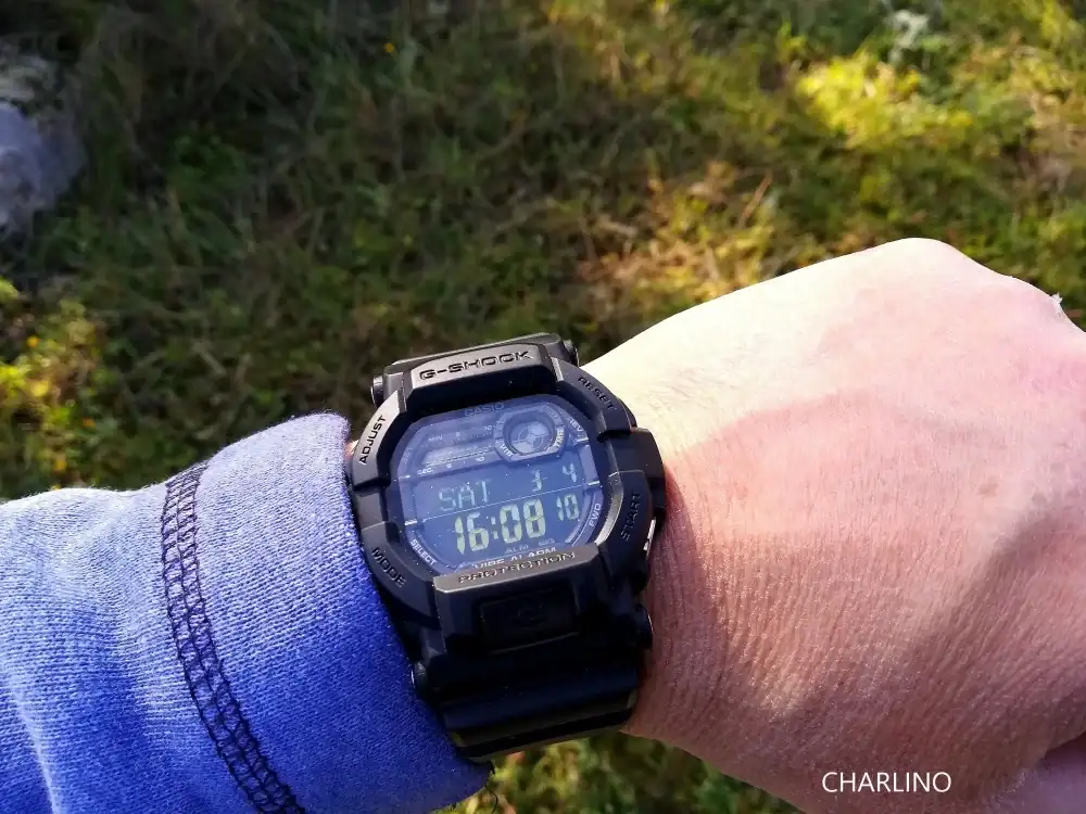 IMG-20230304-160811.webp