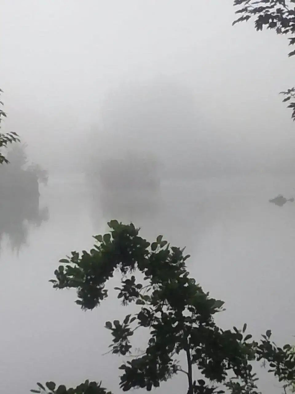 IMG-20230620-WA0002.webp