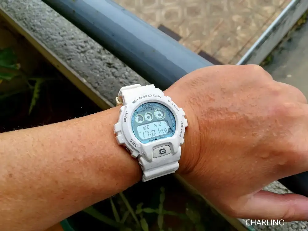 IMG-20230621-170101.webp