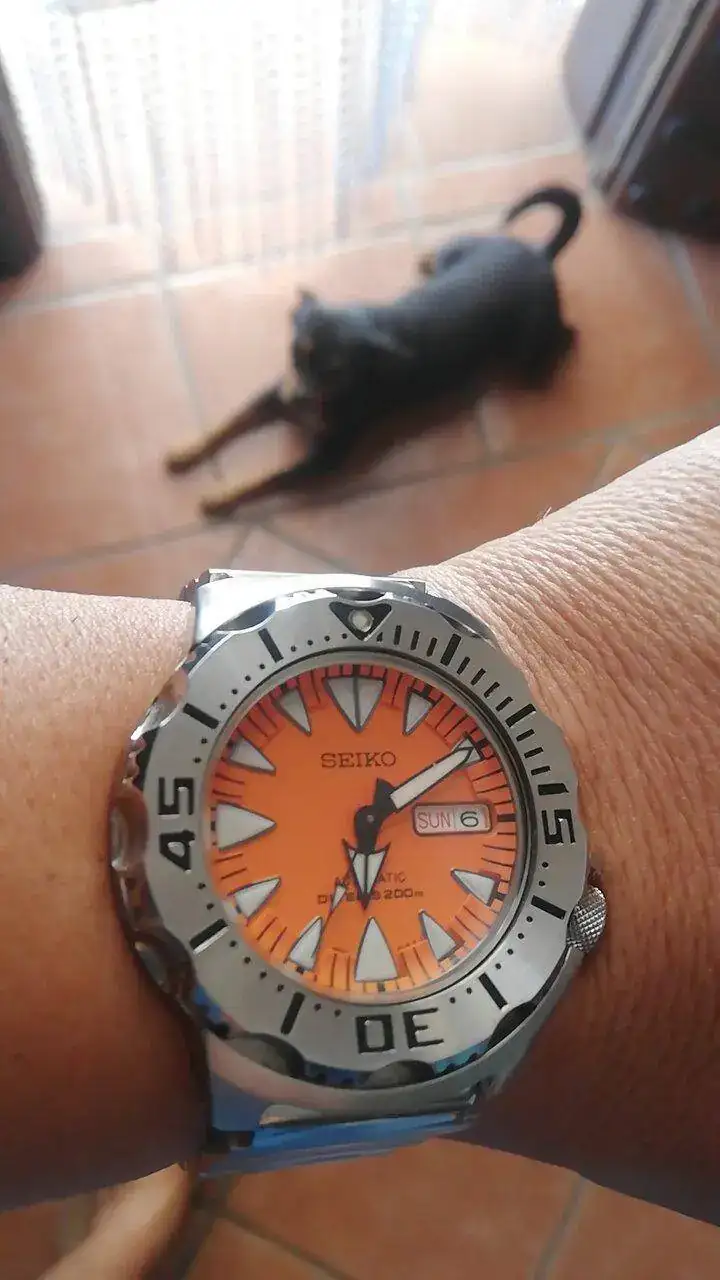 IMG-20230806-WA0035.webp