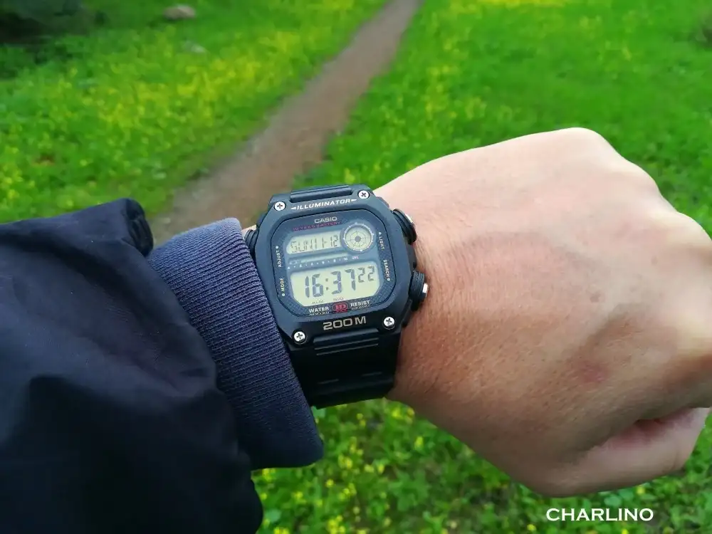 IMG-20231112-163719.webp