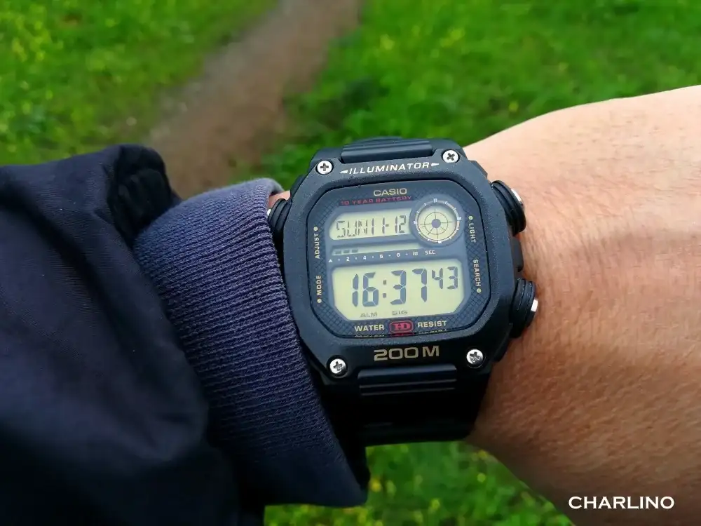 IMG-20231112-163741.webp