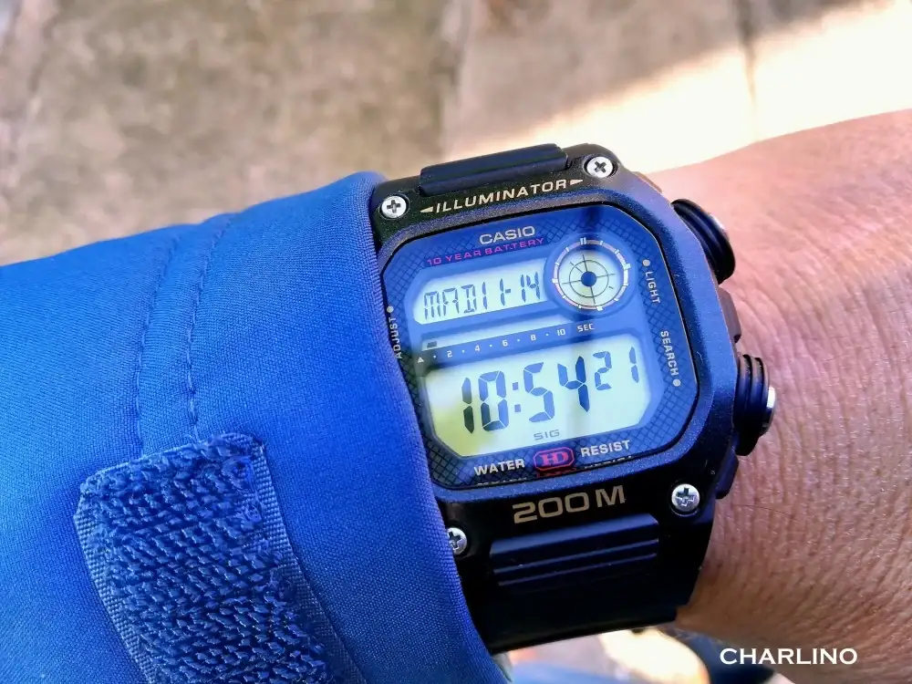 IMG-20231114-105420.webp