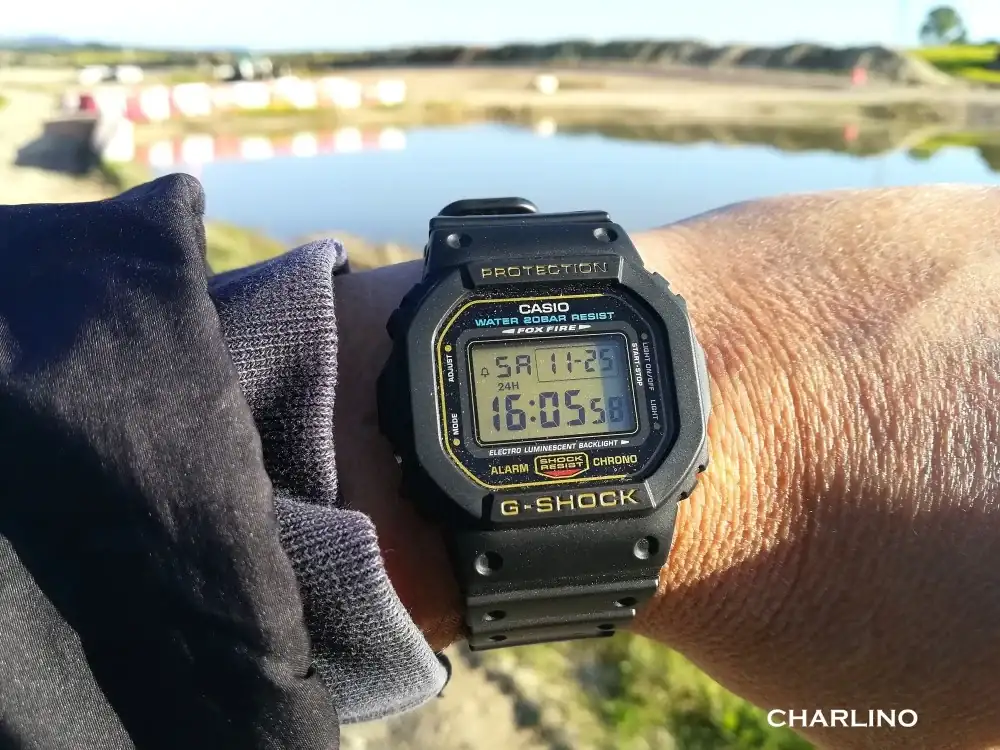 IMG-20231125-160535.webp