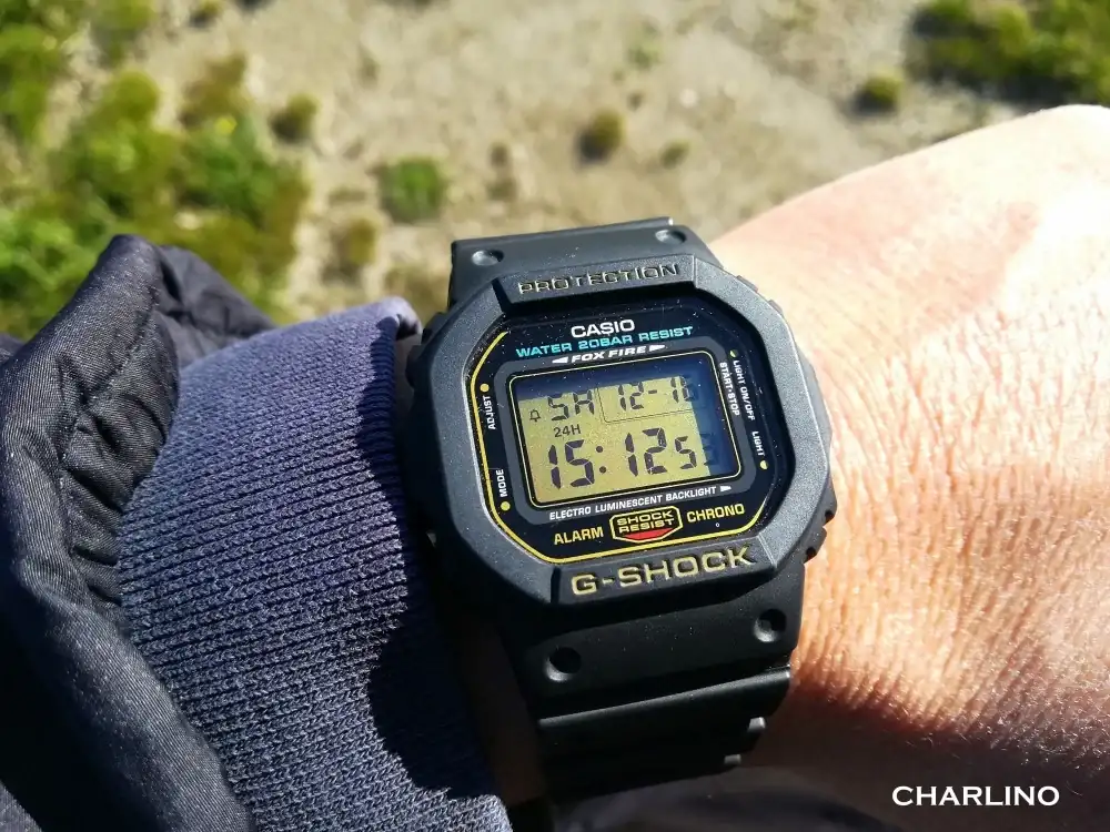IMG-20231216-151240.webp