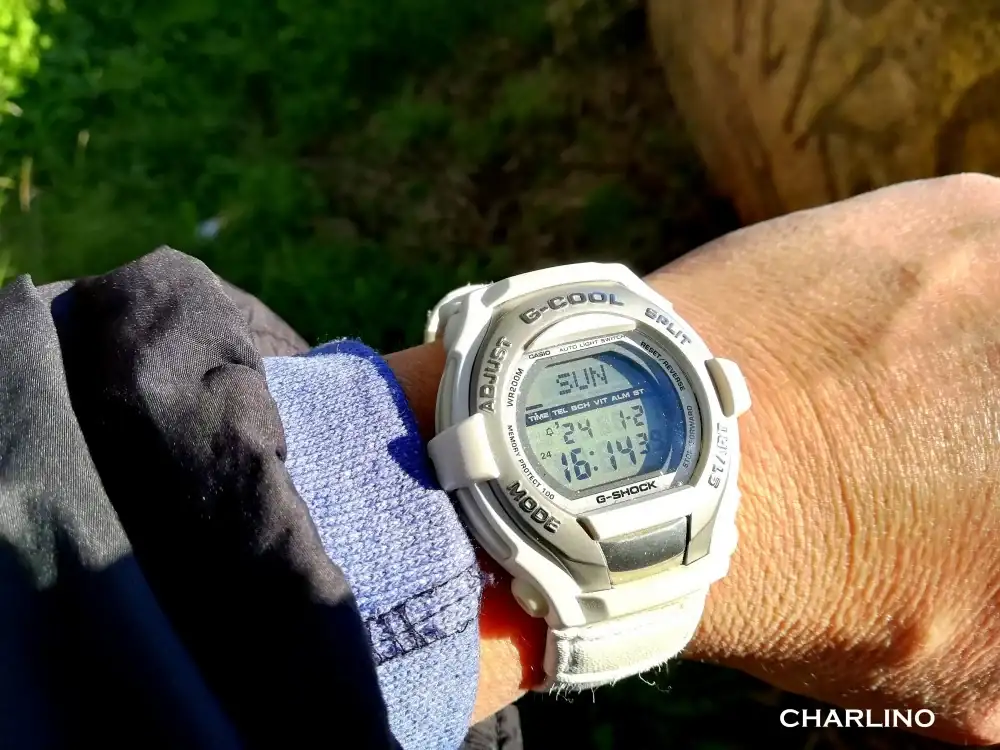 IMG-20240121-161430.webp