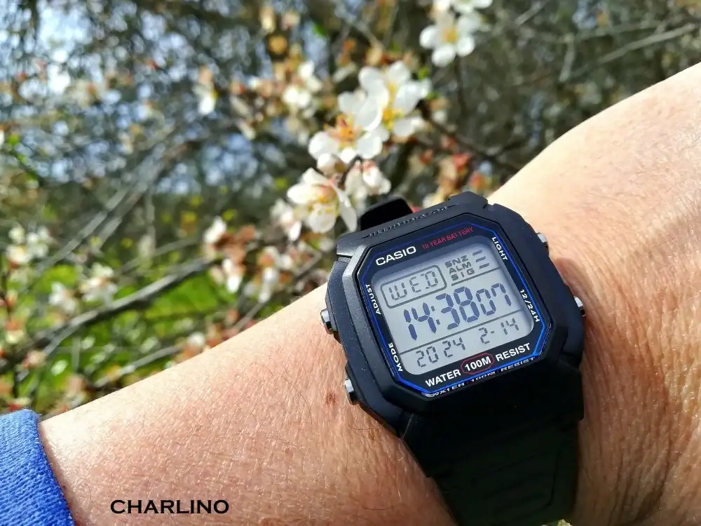 IMG-20240214-143807.webp