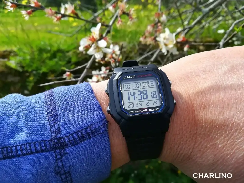 IMG-20240214-143818.webp