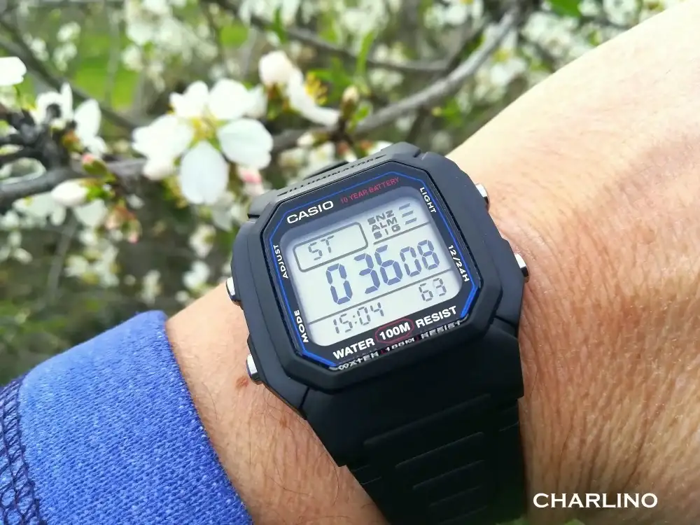 IMG-20240214-150439.webp