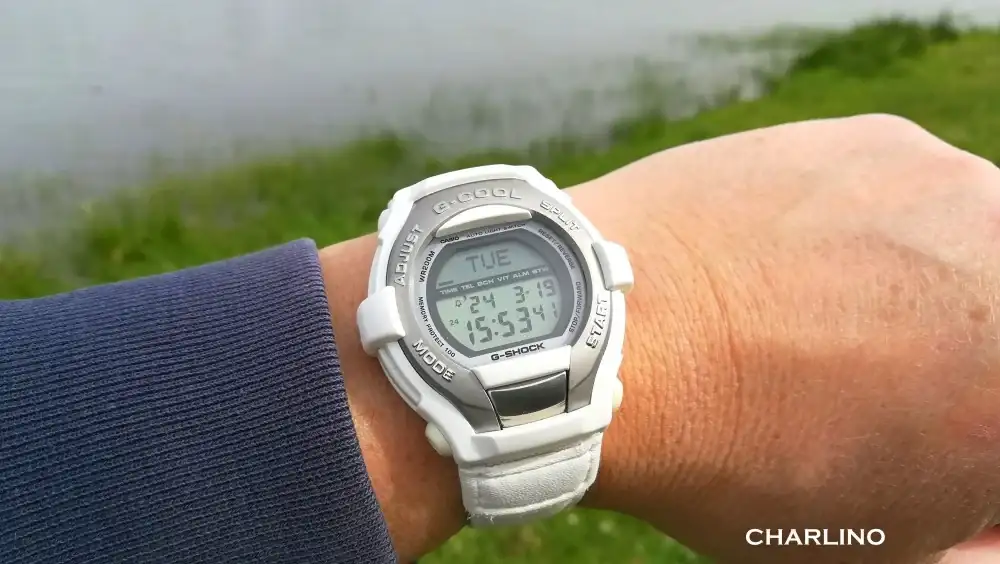 IMG-20240319-155340.webp