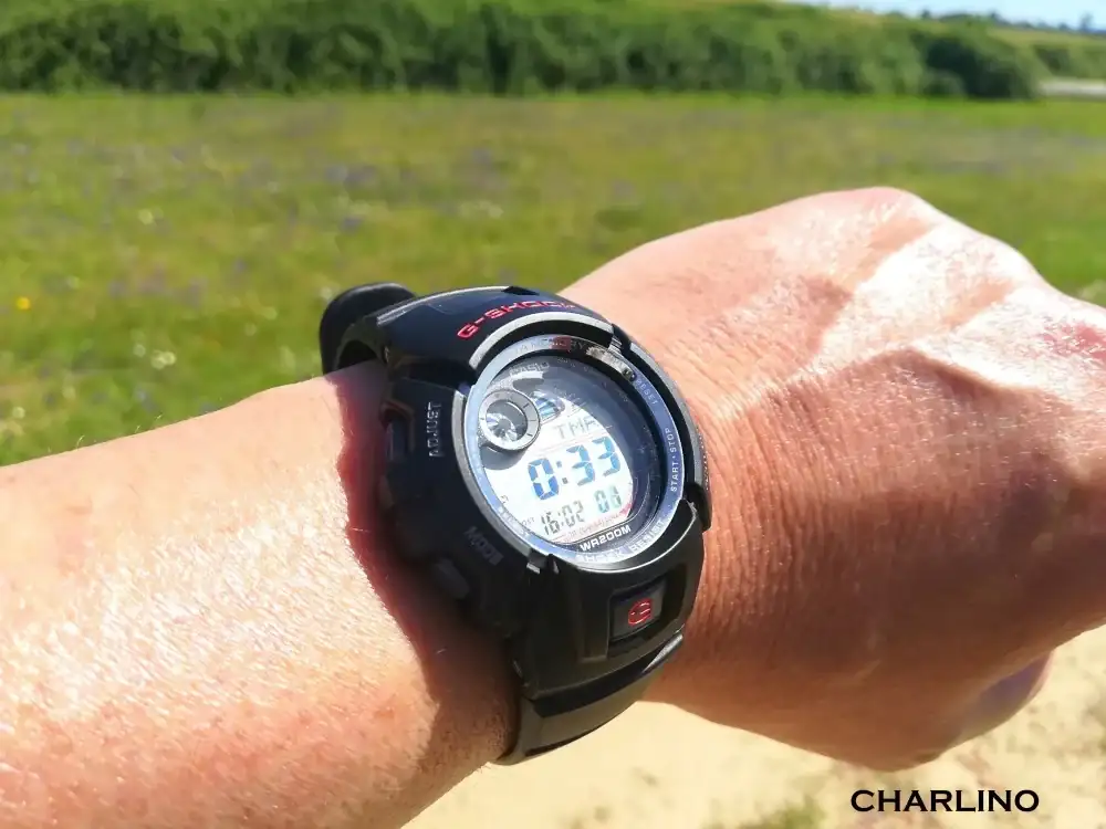 IMG-20240413-160251.webp