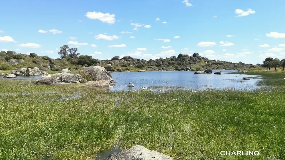 IMG-20240518-154359.webp