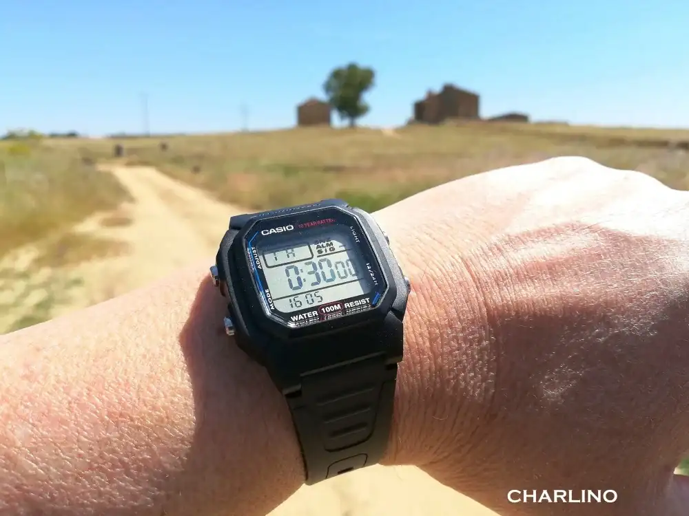 IMG-20240525-160527.webp